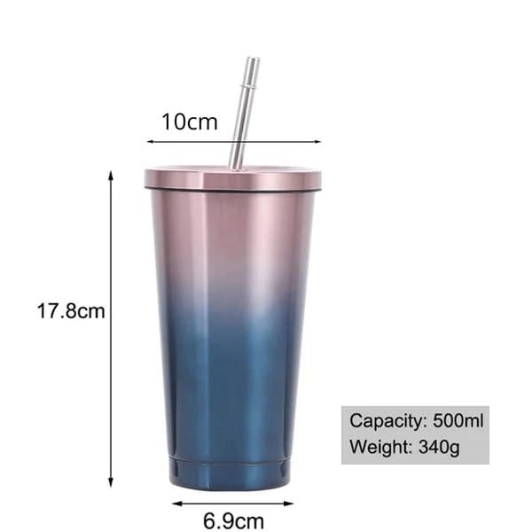 Double Wall Vacuum Insulated Tumbler with Steel Straw and Lid