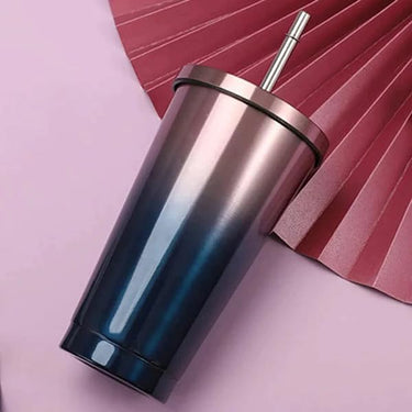 Double Wall Vacuum Insulated Tumbler with Steel Straw and Lid