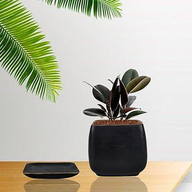 Pearl Small Black Gold with Plate Ceramic Pots for Indoor Plants,Planters,Flower