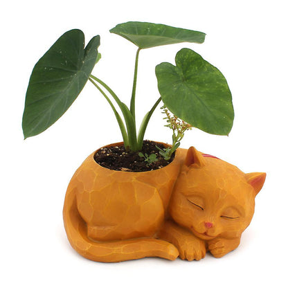 3D Sleeping for Cat Resin Flower Pot Succulents Bonsai Cactus Plants