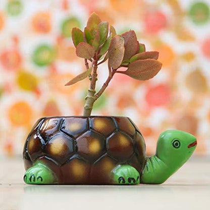 Tortoise big HP Planter  for Indoor Plants,Planters,Flower,Outdoor,Balcony,Home,Garden,Office Decor,Succulent Pot(Hand Painted Green Neck)(L:19.5 cm,W:13.5 cm,H:7 cm)