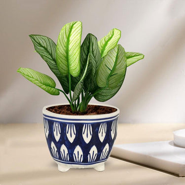 Sharon Ceramic Pots for Indoor Plants, Planters, Flower, gamla,Outdoor,Balcony,Home