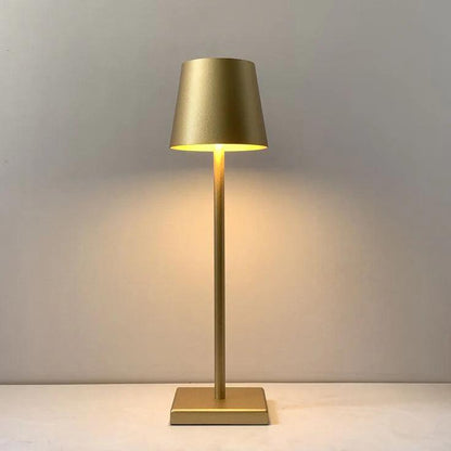 Rechargeable Decorative LED table lamp