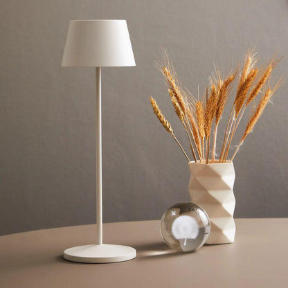 Rechargeable Decorative LED table lamp